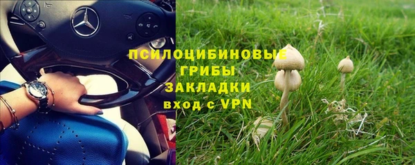 сатива Алексин