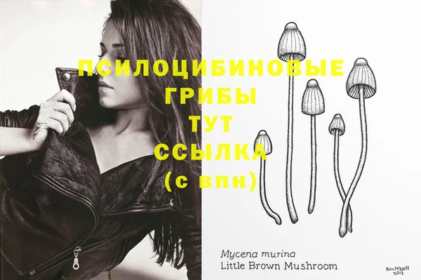 каннабис Алексеевка