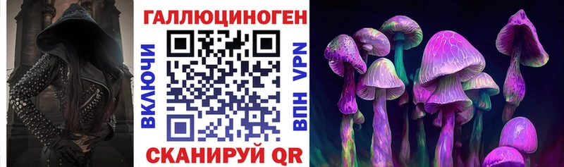Псилоцибиновые грибы мицелий  наркошоп  Зубцов 